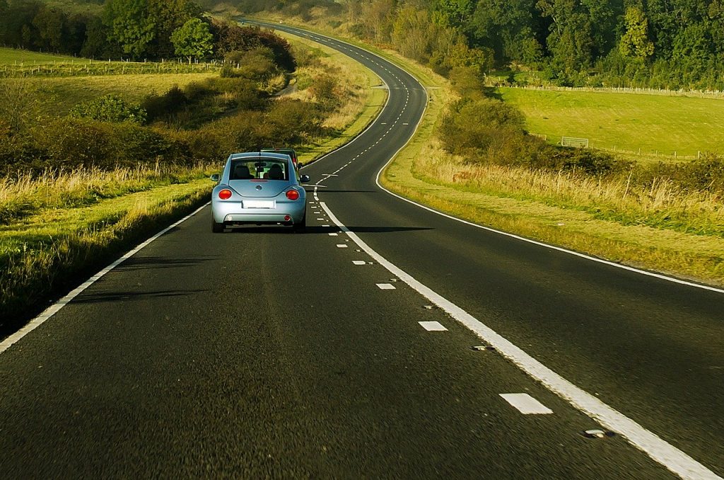 Une coccinelle sur une route