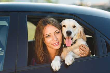 Prendre la voiture avec son chien !